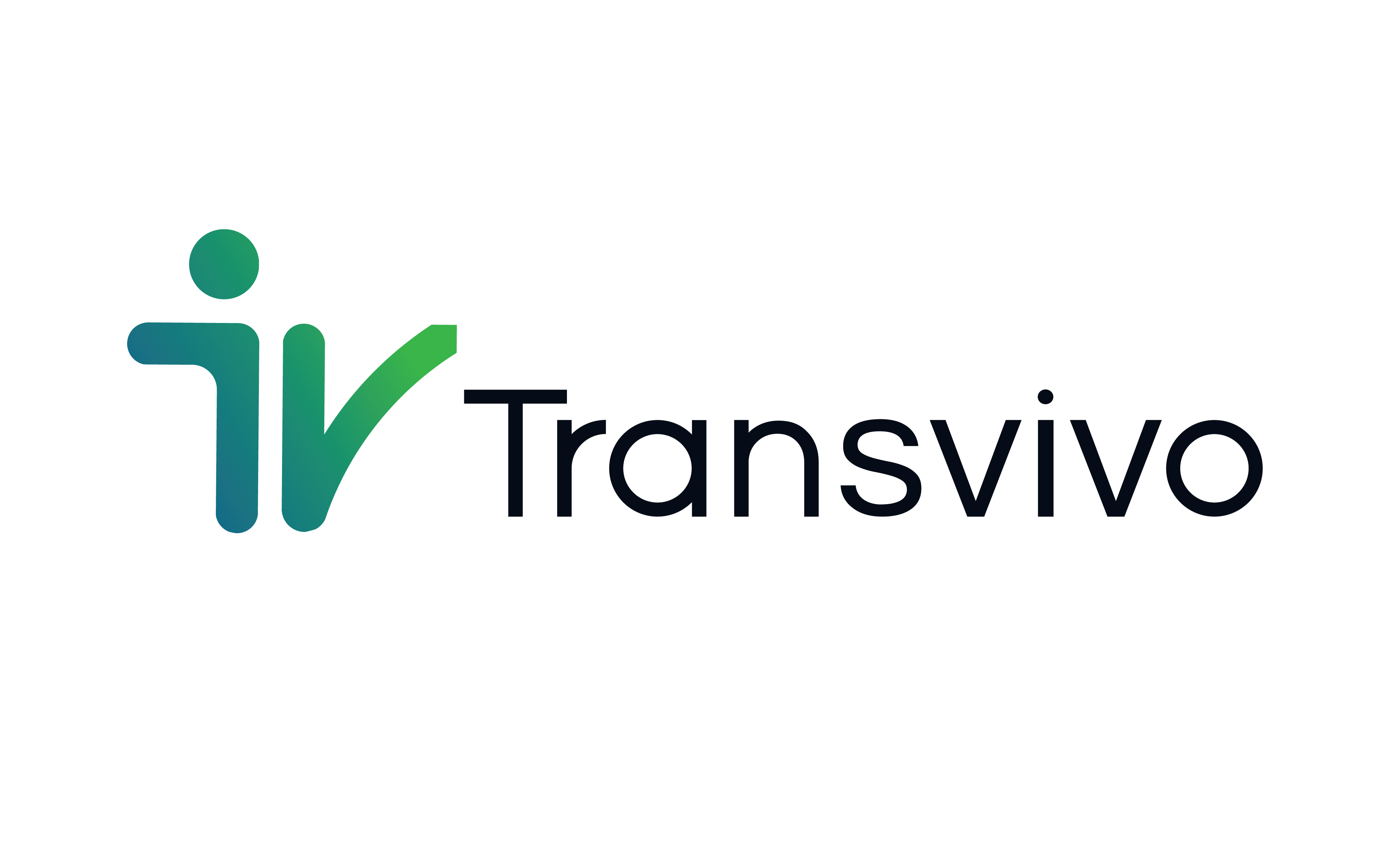 Transvivo Consultants 